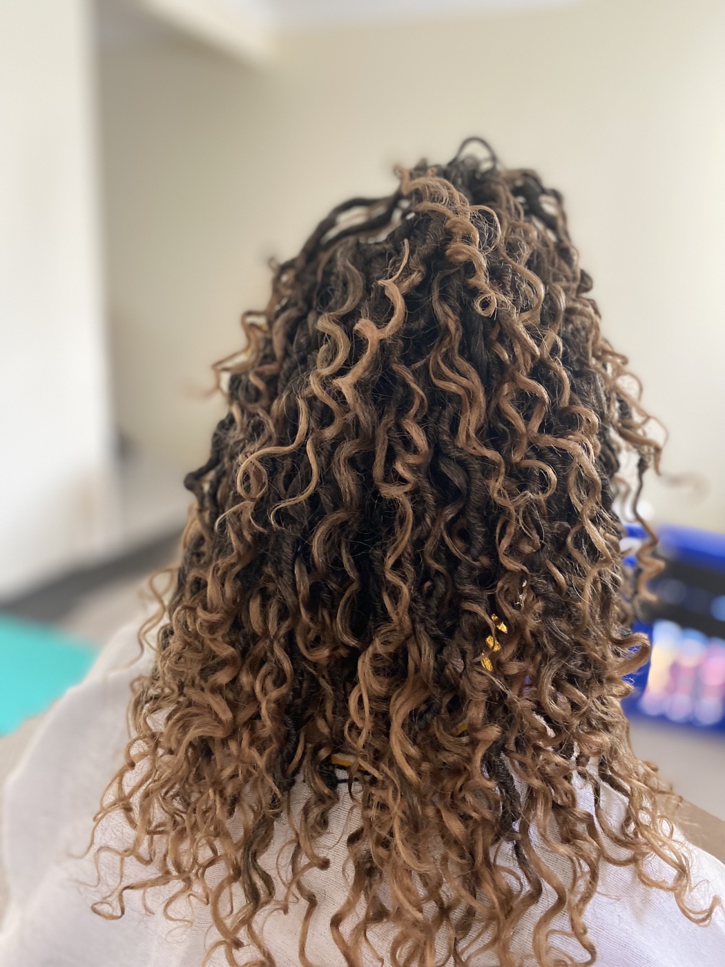 Distressed boho twists with honey-blonde highlights, back view.